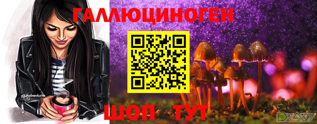 Богородск  Псилоцибиновые грибы ЛСД  Галлюциногенные грибы Psilocybe  Вход с VPN 